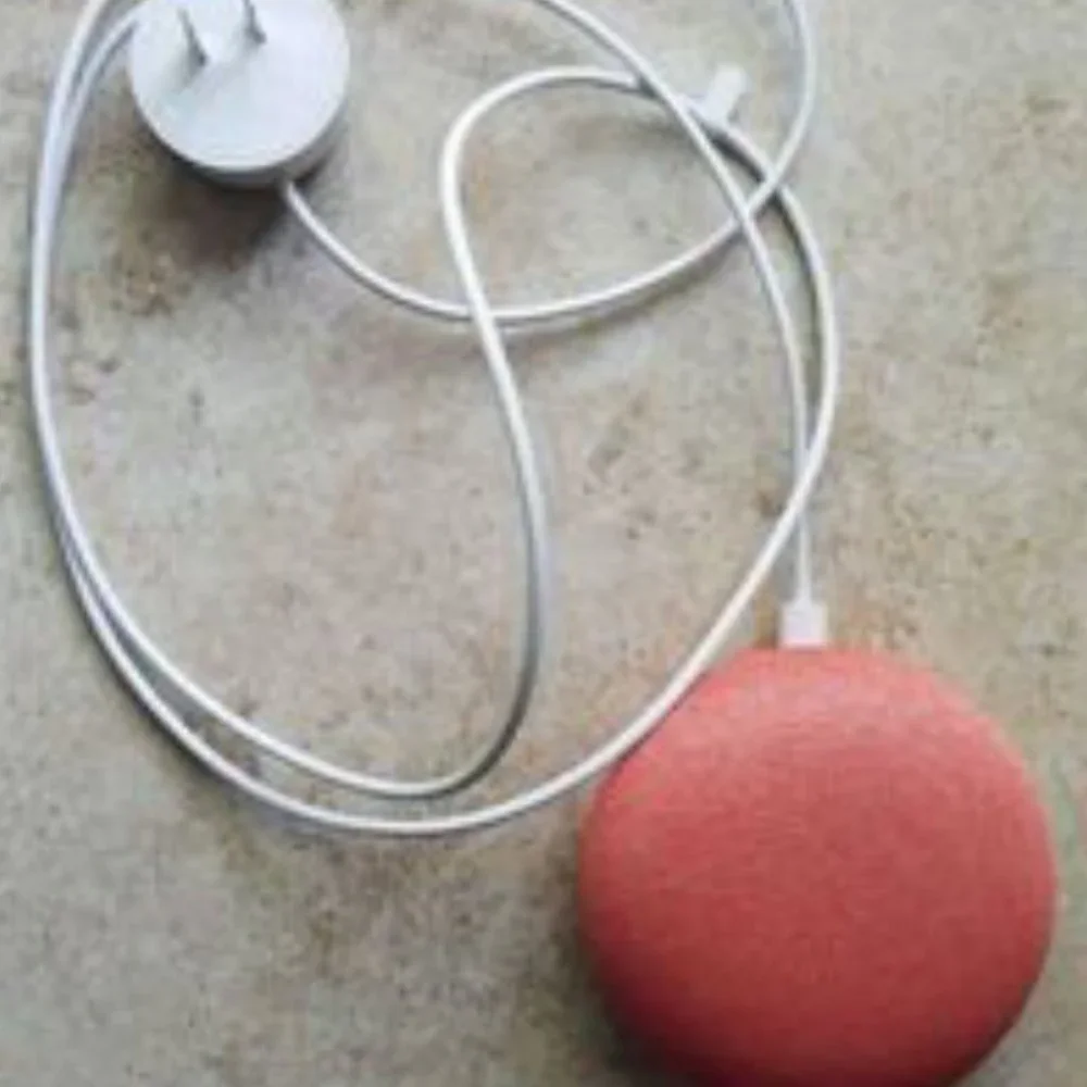 Google Home Mini (Coral)